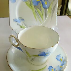 Shelley hand painted trio
