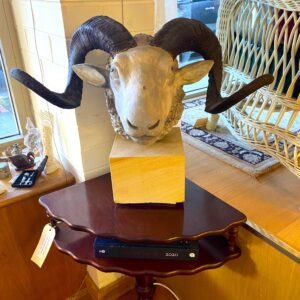 Pottery rams head sculpture with natural horns on a sandstone base signed to back and dated 11/7/02